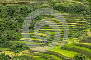 Bontoc in Luzon Island, Philippines