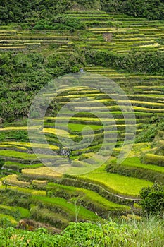 Bontoc in Luzon Island, Philippines