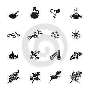 Spice, condiment and herb icons set. photo