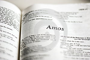 Book of Amos photo
