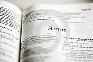 Book of Amos