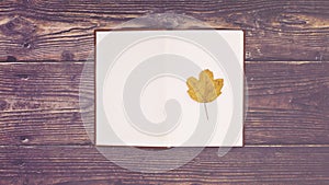 Book appear and open and one leaf appear on paper. Stop motion autumn concept