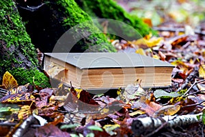 Book in the autumn forest among the fallen leaves near the tree. Reading and relaxing in the woods