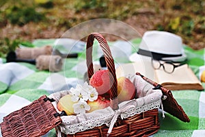 Book and basket with food on plaid picnic in park