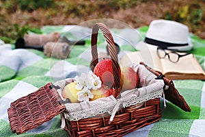 Book and basket with food on plaid picnic in park