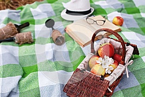 Book and basket with food on plaid picnic in park