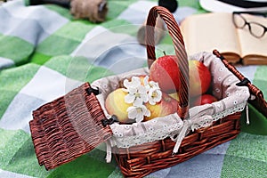 Book and basket with food on plaid picnic in park