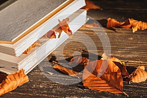 Book on the bench in autumn park. Reading, education and back to school concept. Light Tone. Closedup