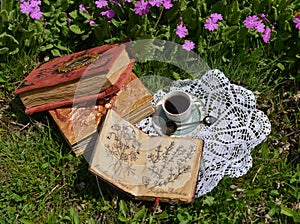 Book with botanical drawings and cup of tea in the garden