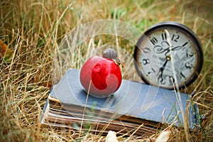 The book, clock, apple snail lay on dry grass