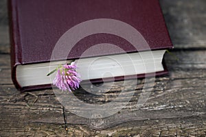 Book with clover flower as bookmark on old wooden background