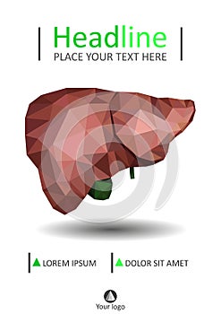 Book cover template with Realistic human liver with bile duct an