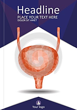 Book cover urinary bladder system with ureter and urethra. Realistic 3d low poly human organ. Annual report. A4 Medical