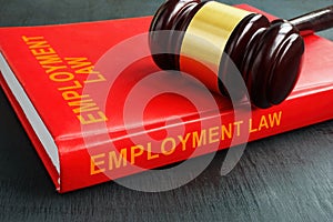 The book employment law and the gavel on it.