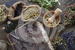 Book, eyeglasses, Tincture bottles, assortment of dry healthy herbs, mortar. Herbal medicine. Top view.