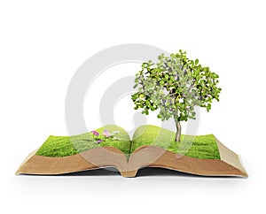 Book of fantasy stories