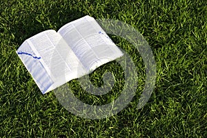 Book on grass