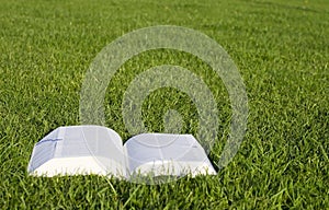 Book on grass