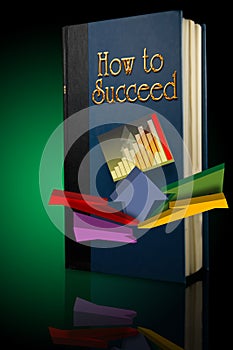 Book how to succeed