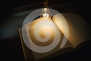 Book and light bulb