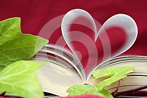 The Book of Love close up