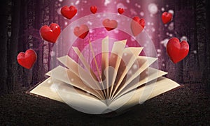 Kniha z srdce, Valentýn les 