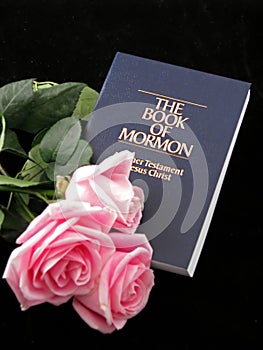 Book of mormon and roses photo