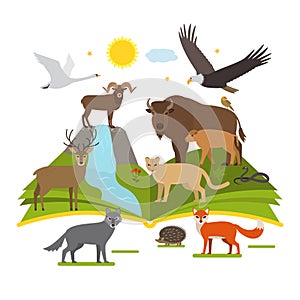 Book about the National Parks of nature. big set of animals and birds cartoon style. flat vector