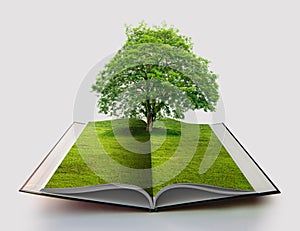 Book of nature isolated on white open book in paper recycling concept 3d rendering book of nature with grass and tree growth on it