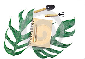 book note and green leaf on white background