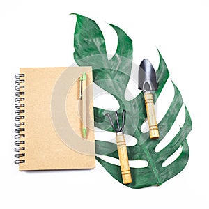 book note and green leaf on white background