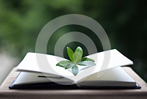 Book or notebook with leaves on nature background