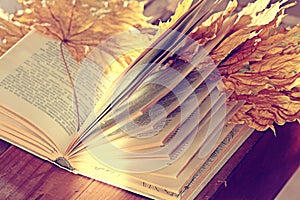 Book pages yellow leaves