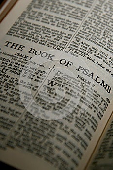 The Book of Psalms