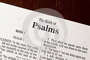 The Book of Psalms Title Page Close-up