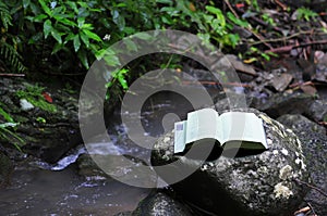 Book in rainforest photo