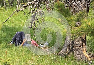 Book reading under a tree