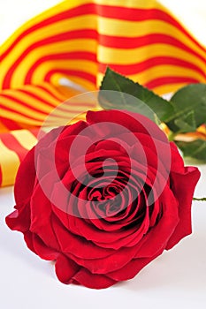 Book, red rose and the catalan flag for Sant Jordi, Saint George
