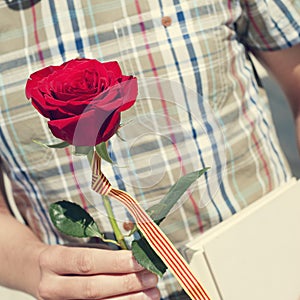 Book, red rose and the catalan flag for Sant Jordi, Saint George