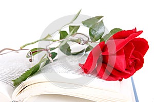 book and red rose with glasses on pages of book on white background