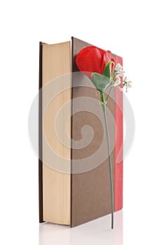 Book And A Rose