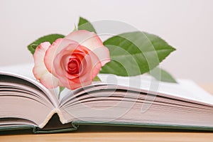 Book and rose flower - card with education concept and reading books motivation