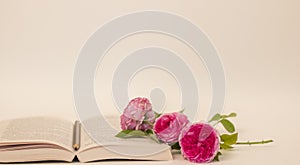 book and rose