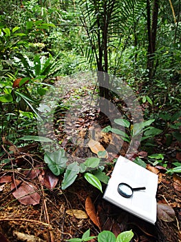 Book in tropical rainforest