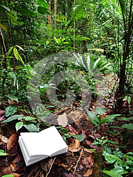 Book in tropical rainforest background