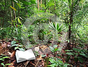 Book in tropical rainforest background