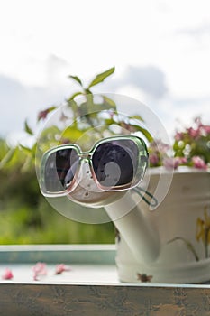 Book on the white vintage table with vase and sunglasses on green grass on sunny summer day, soft focus. Lawn with spring flowers