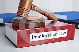 Book with words IMMIGRATION LAW and gavel