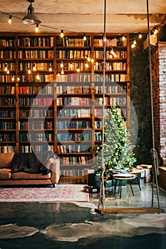 Bookcase with christmas tree lights sofa carpet swing