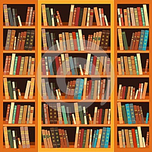 Bookcase full of books